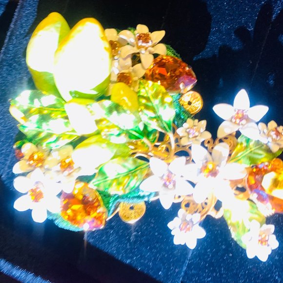 Dolce and Gabbana Brooch and Hair Accessory